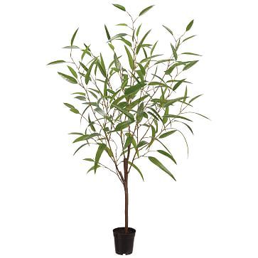 Faux Potted Eucalyptus Tree | West Elm | West Elm (US)