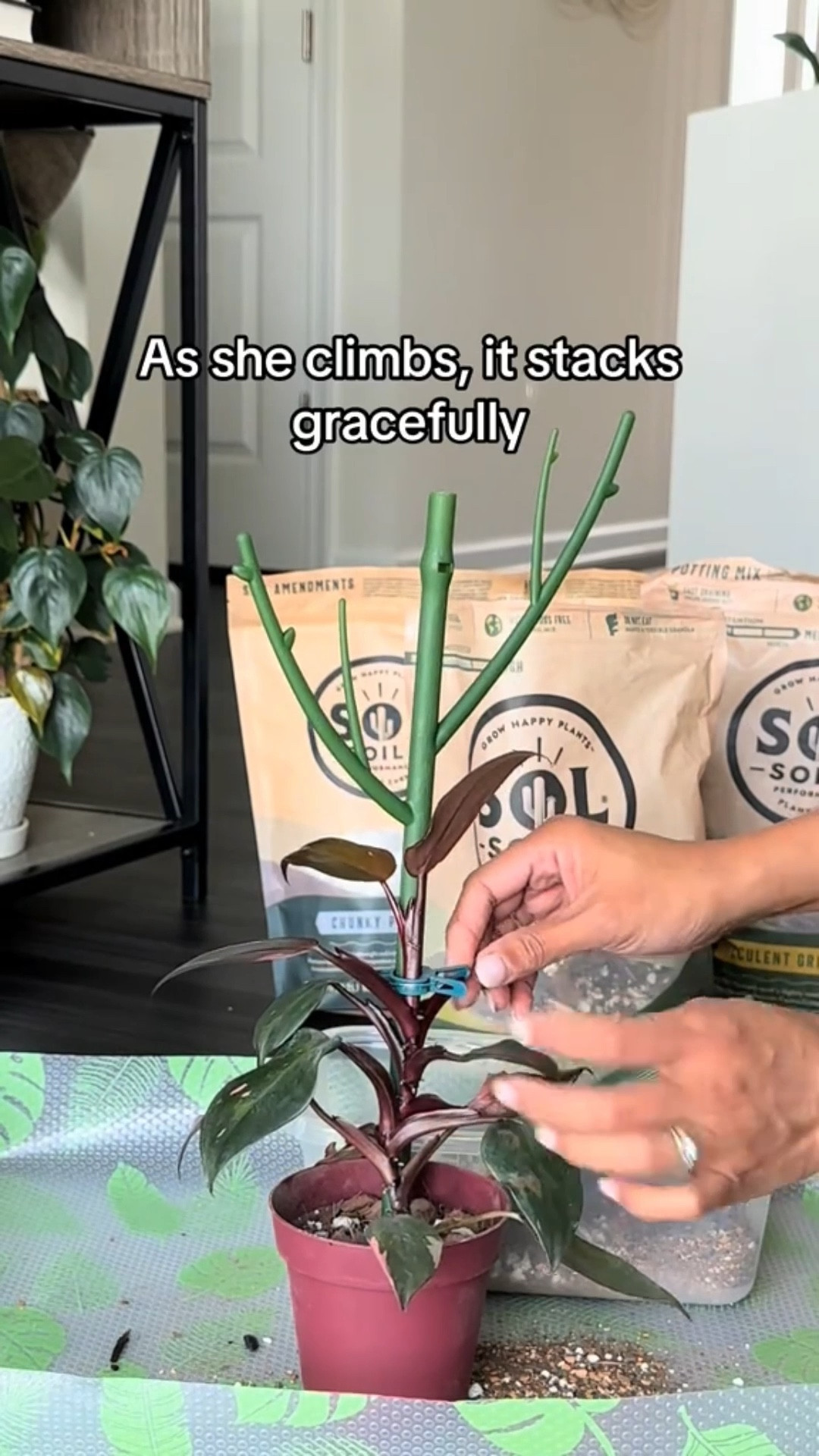 Pink Princess Glow Up

#LTKHome #LTKStyleTip