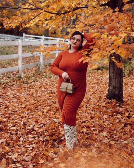 Similar items for this look, but the hair bow is still available! 

Plus size fashion, plus size style, size 16 influencer, fall fashion, fall style, autumn, orange sweater dress, gold glasses, gold earrings, white satin hair bow, snow leopard wide knee high boots 

#LTKunder50 #LTKcurves #LTKSeasonal