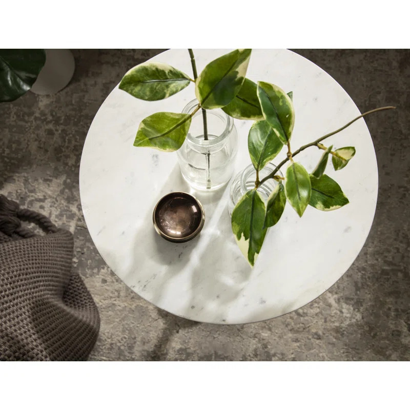 Cemil 23.25'' Tall Genuine Marble Pedestal End Table | Wayfair North America