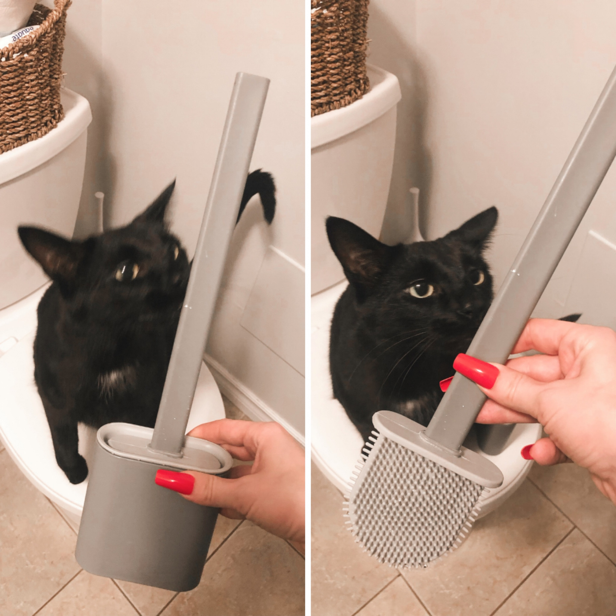 This silicone toilet brush is the bomb! Easy to use and clean. Doesn’t hold bacteria. Soooo good! 

#LTKfamily #LTKhome #LTKunder50