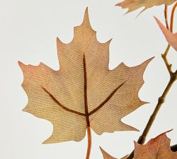 Faux Oversized Golden Maple Branch | Pottery Barn (US)