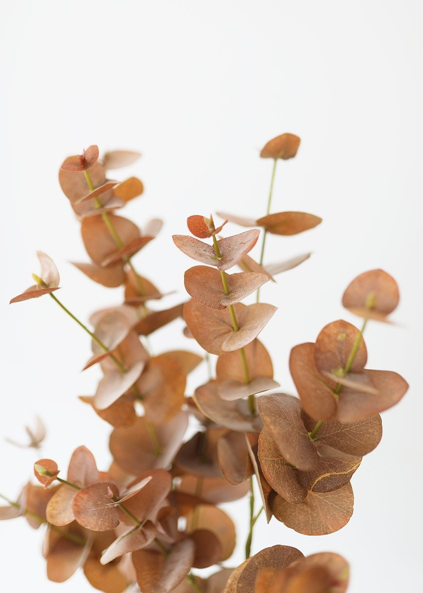 Terracotta Artificial Eucalyptus Fall Leaves - 34" | Afloral (US)