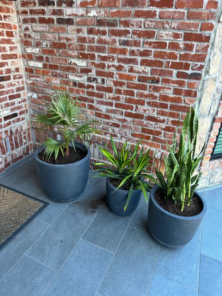 Amazon planters set of 3


#LTKSeasonal #LTKhome