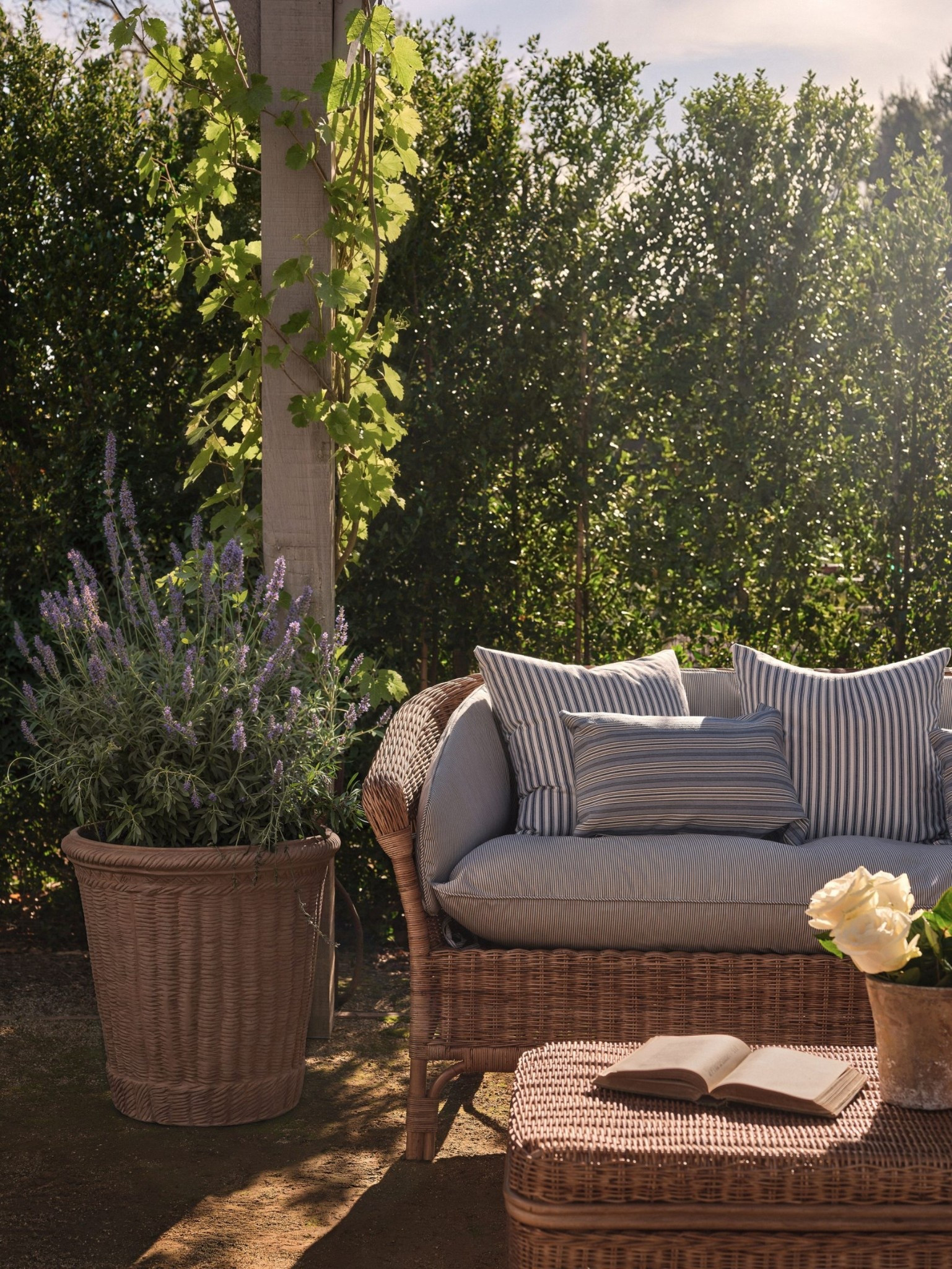 Olive Atelier x Pamela Anderson | The Sentimentalist Collection 

This isn’t just furniture—it’s that lived-in, slow, sentimental kind of home that feels collected over time. Wicker, rattan, teak… pieces that are meant to be used, loved, and passed down.

It’s giving coastal farmhouse, a little French, a bit nostalgic, and effortlessly beautiful in that “nothing feels too styled” kind of way. 

Linking my favorite pieces from the collection (aka the whole collection!) 


#LTKSeasonal #LTKHome