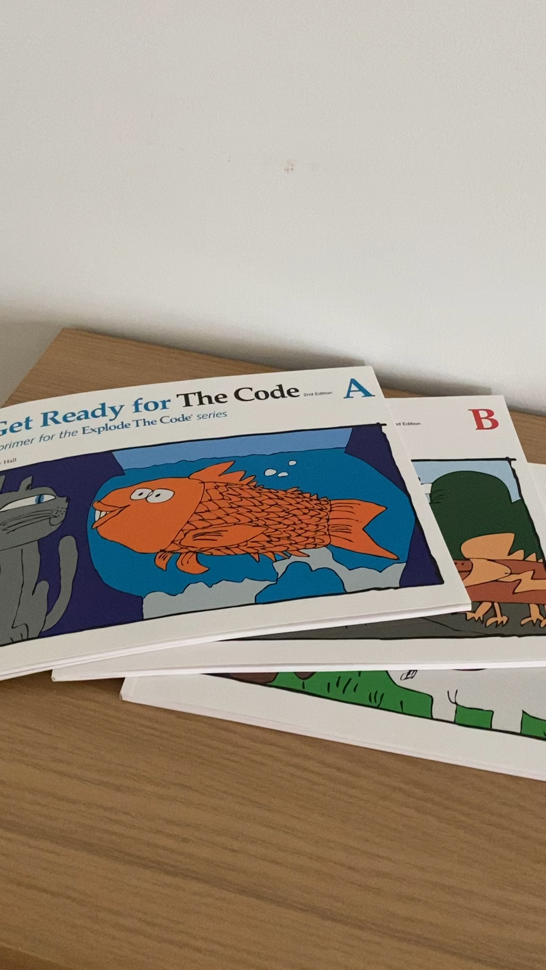 Kindergarten curriculum Explode the code, math with confidence, hooked on phonics learn to read set, Eric carle animals book, math manipulatives, learn time, clock learning set 
Amazon 

#LTKsalealert #LTKunder100 #LTKBacktoSchool