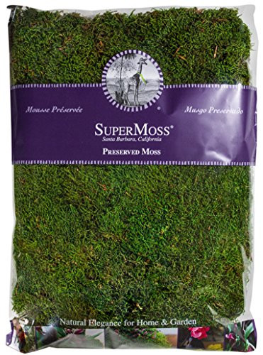 Super Moss 21513 Preserved Sheet Moss, Fresh Green, 16-Ounce | Amazon (US)