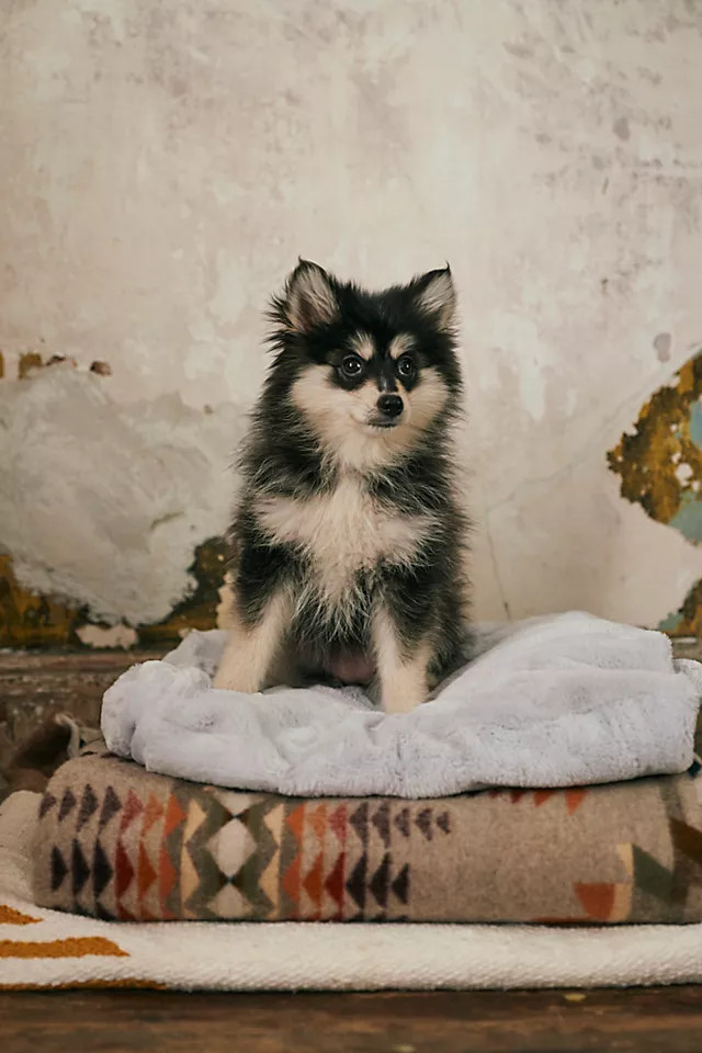 Unhide Lil' Marsh Small Faux Fur Blanket | Free People (Global - UK&FR Excluded)