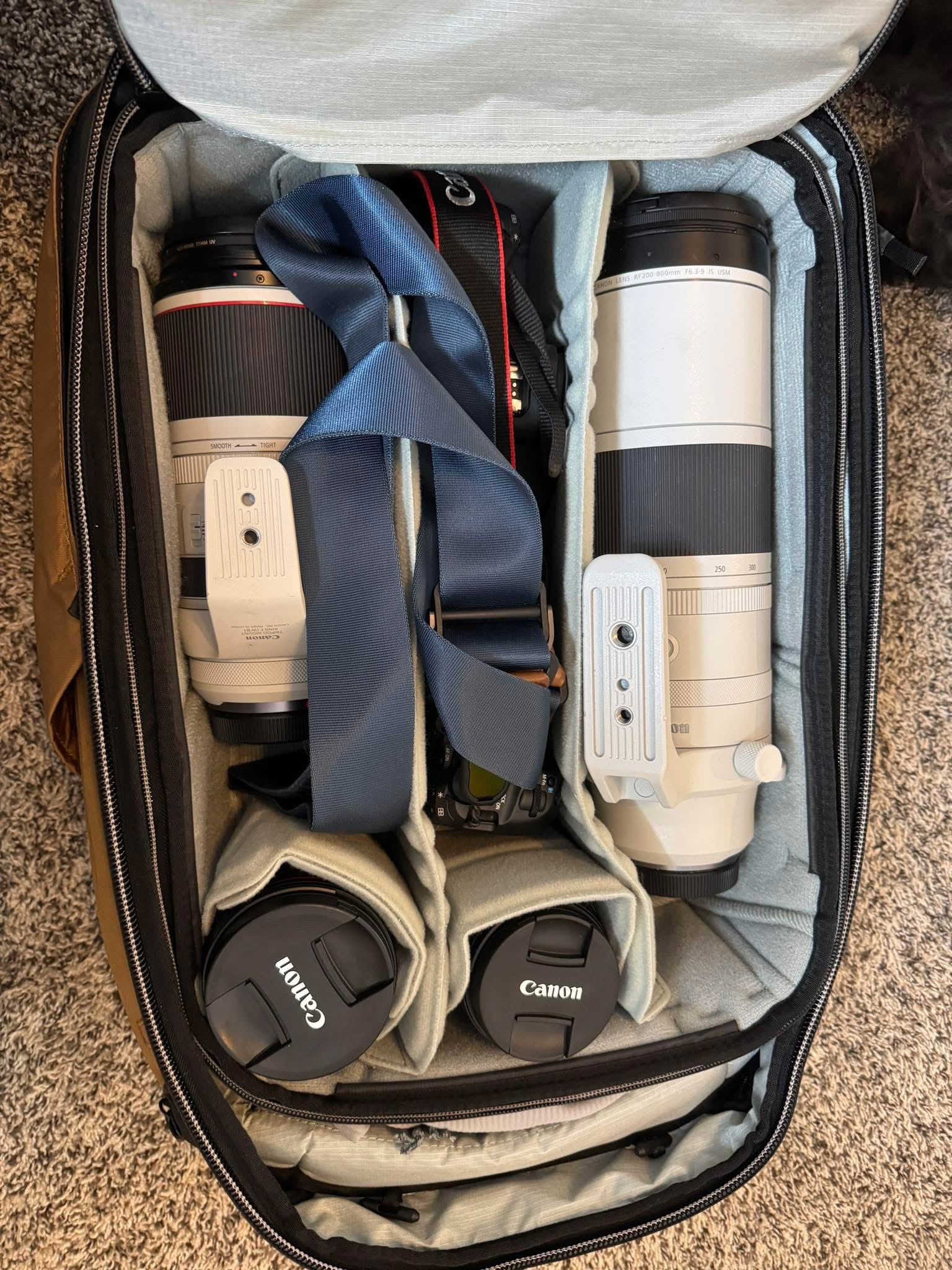 My camera gear and the best bag I’ve ever had for traveling! 

#LTKFamily #LTKTravel #LTKItBag