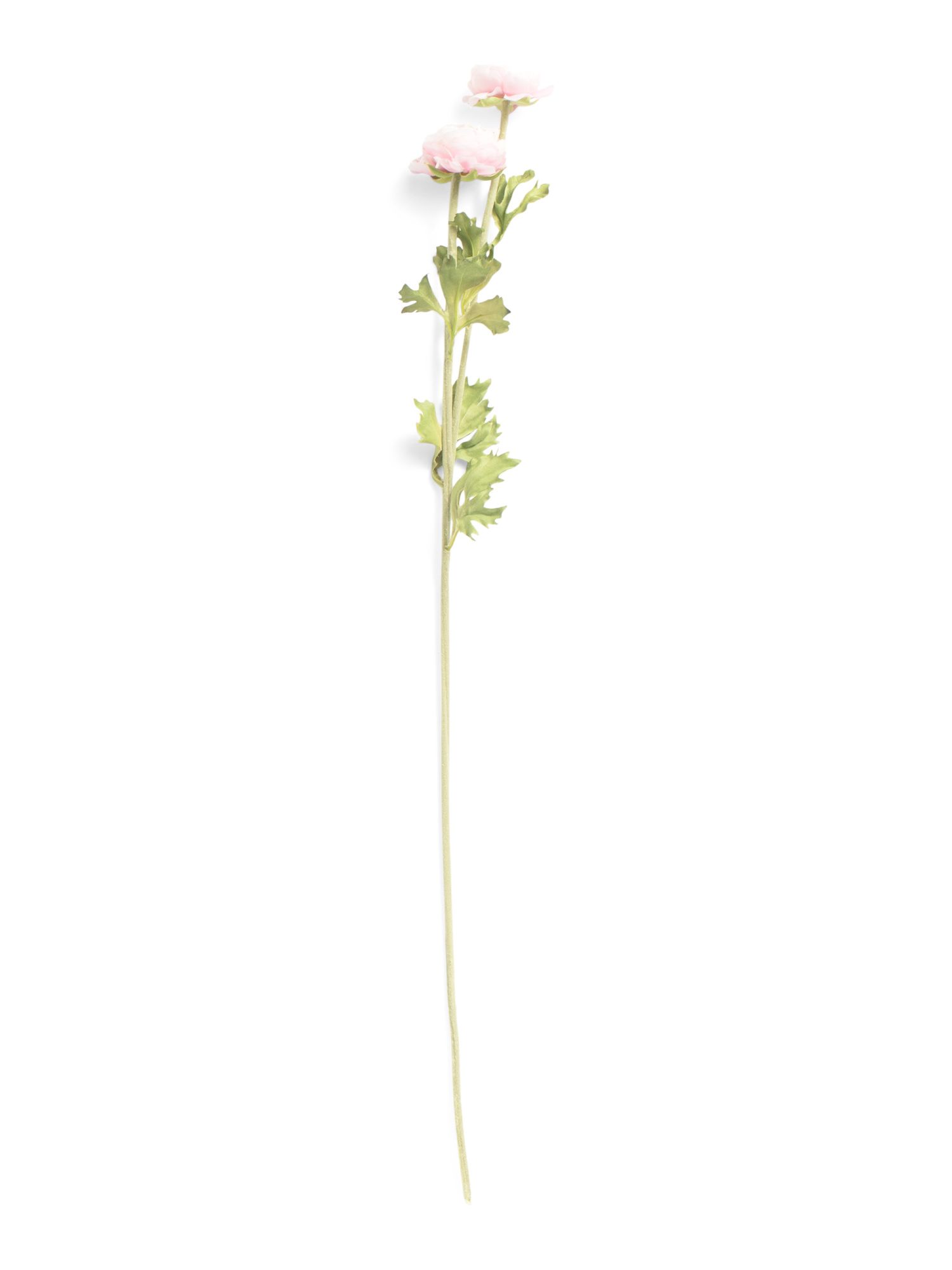 30in  Ranunculus Flowers Stem | Plants & Planters | Marshalls | Marshalls