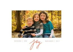 Wishing You Joy | Walmart (US)