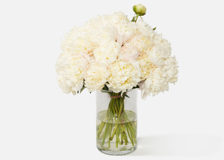 Triple The Pearl | UrbanStems