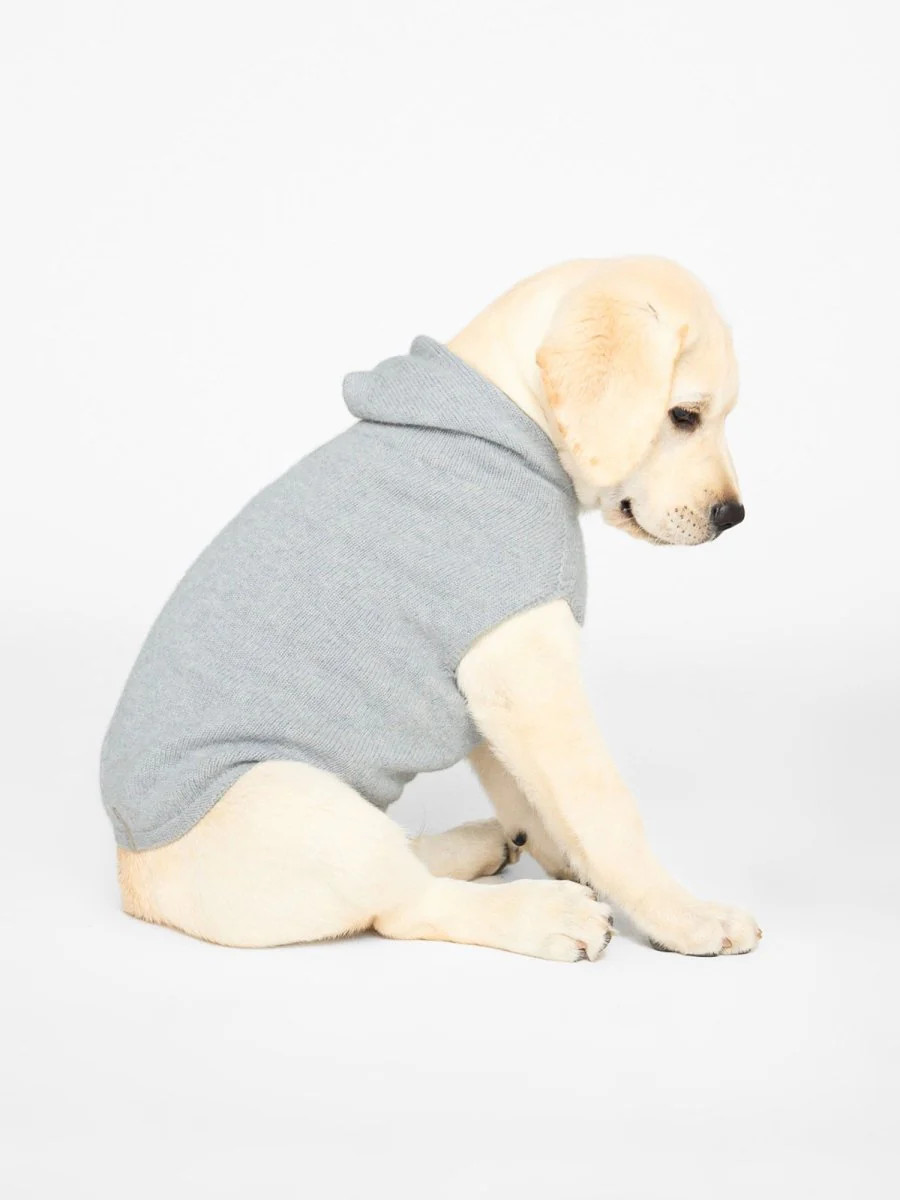 Brochu Walker | Cashmere Dog Hoodie in Brume Grey | Brochu Walker
