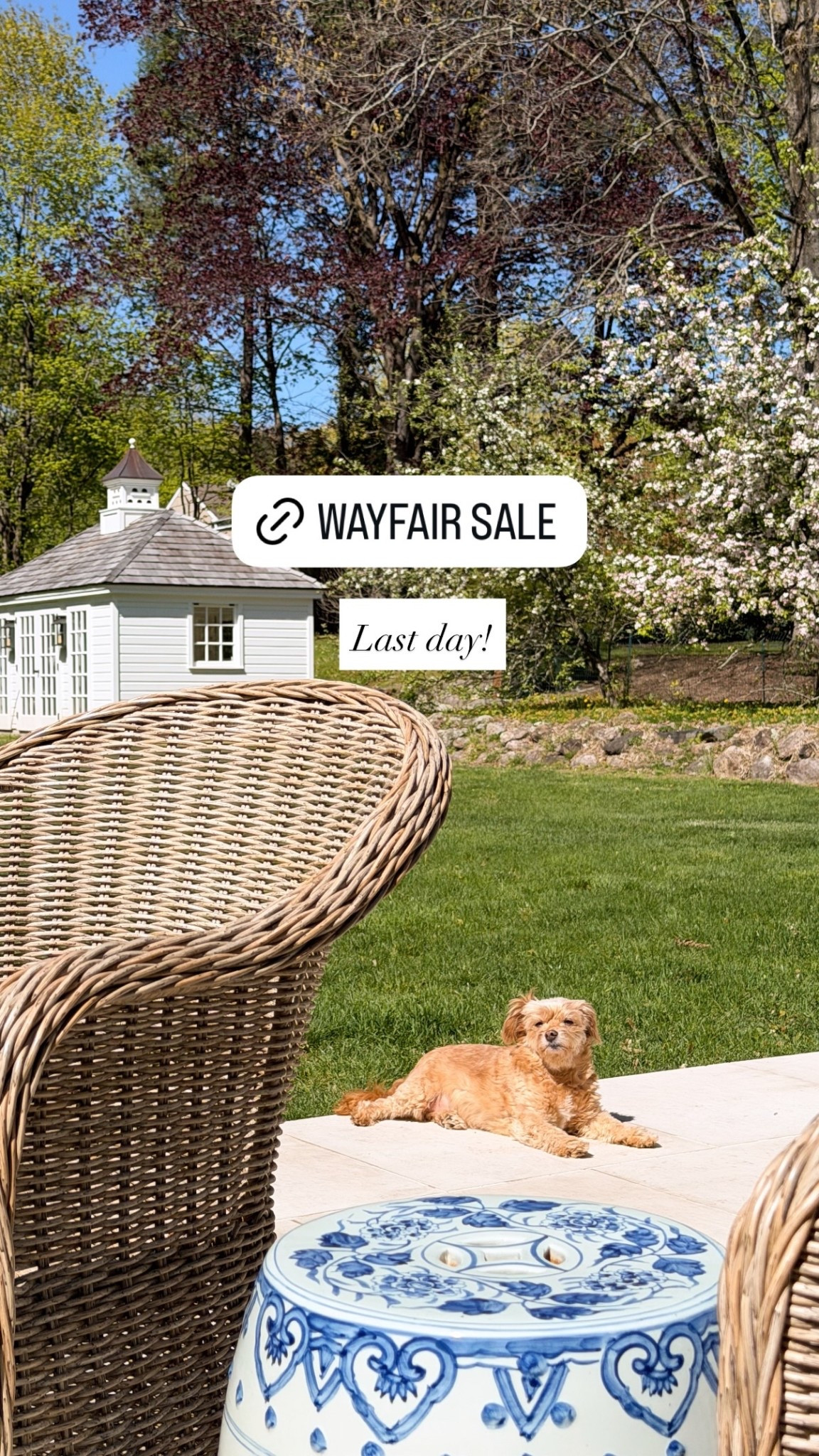 Last day Wayfair sale! 

#LTKSaleAlert #LTKHome #LTKSeasonal