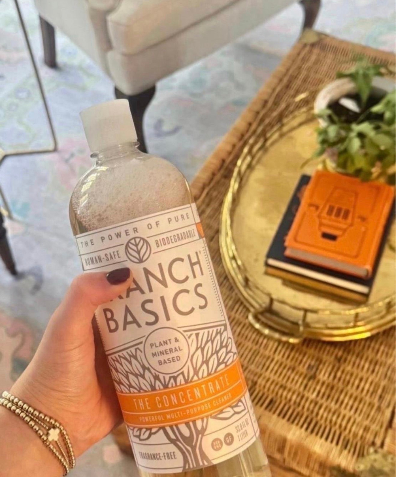 My favorite multi purpose cleaner concentrate! It has so many uses and is safe on skin!

#LTKHome #LTKselfcare #LTKmomlife