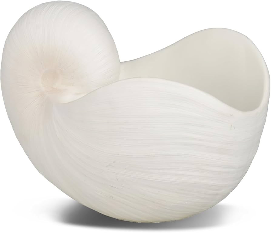 Braxio Modern Home Decor Sea Shell - Beach Themed Statue Resin Conch Shape Dish for Keys, Rings, ... | Amazon (US)