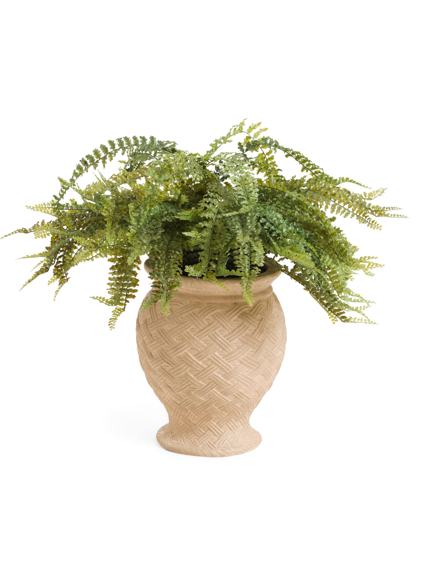 Outdoor Safe Real Touch Faux Fern In Planter | Plants & Planters | Marshalls | Marshalls