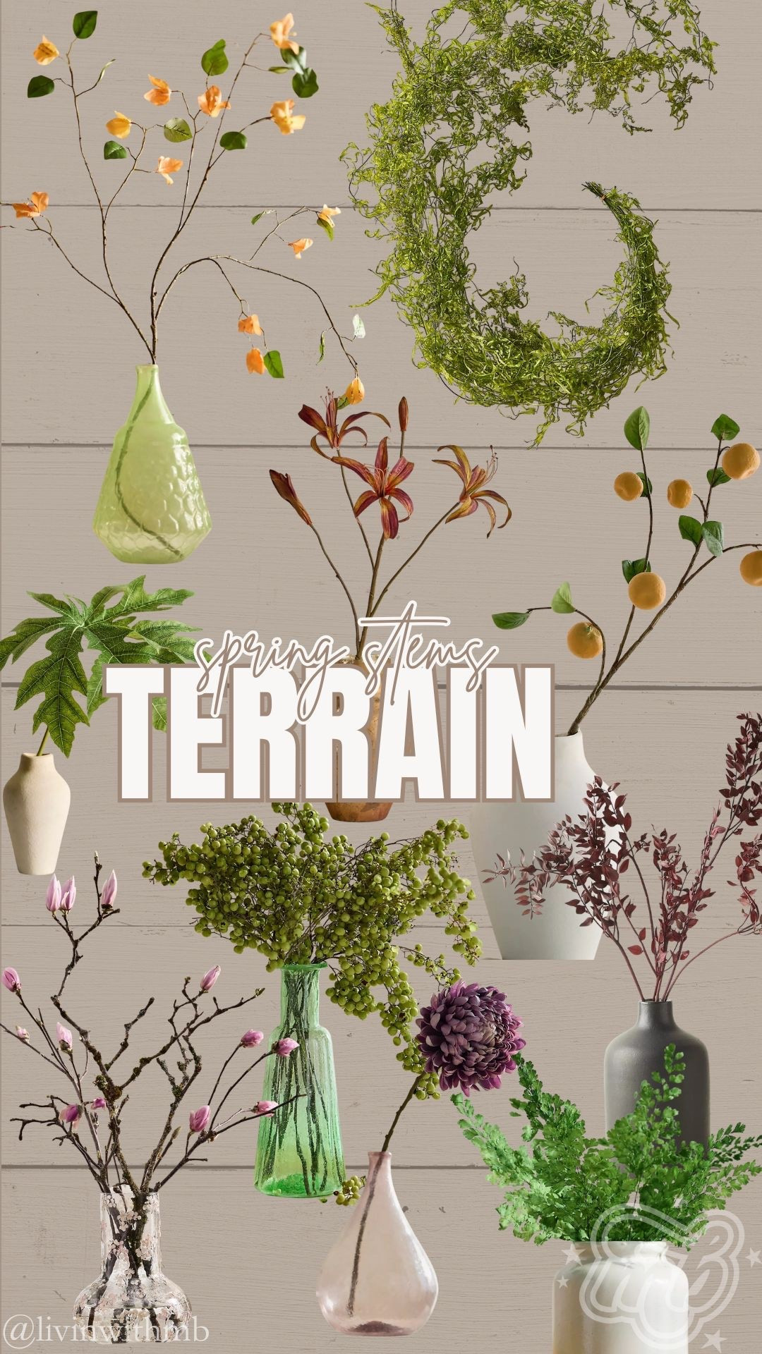 Some of my favorite Spring stems from Terrain 🌷

#LTKSeasonal #LTKHome #LTKValentine