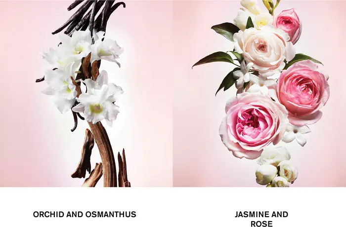 Viktor&Rolf Flowerbomb Eau de Parfum Fragrance Spray | Nordstrom | Nordstrom