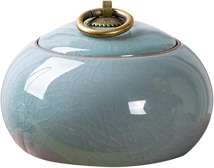 POPETPOP Ceramic Canister for Loose Leaf Tea: Porcelain Tea Canister Salt Storage Containers with... | Amazon (US)
