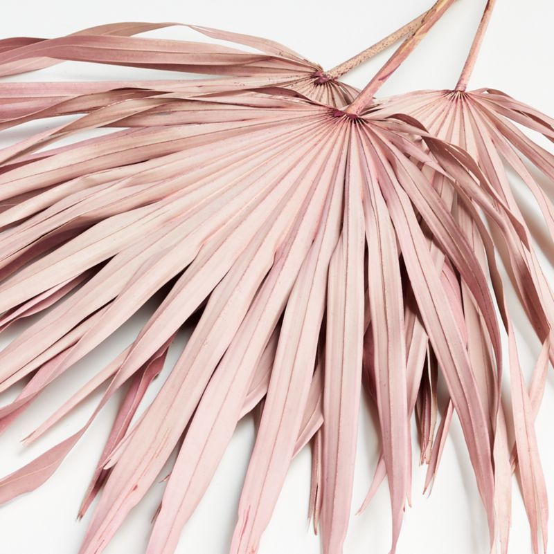 Pink Paper Palm Dried Botanicals, Set of 3 + Reviews | Crate and Barrel | Crate & Barrel