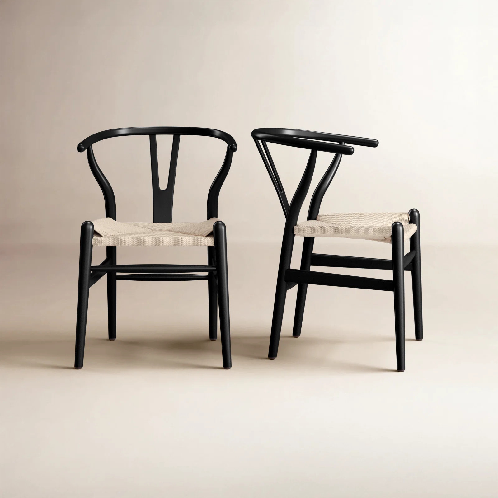 Wyn Woven Dining Chair (Set of 2) | Wayfair North America