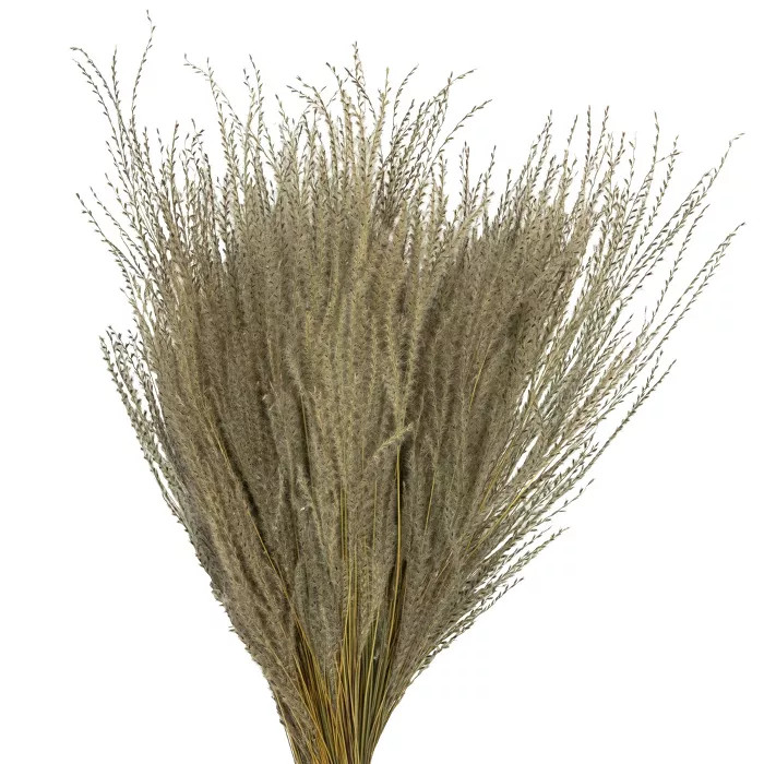 Vickerman 14-20" Natural Snowdrop Grass, 3 oz, Dried | Target