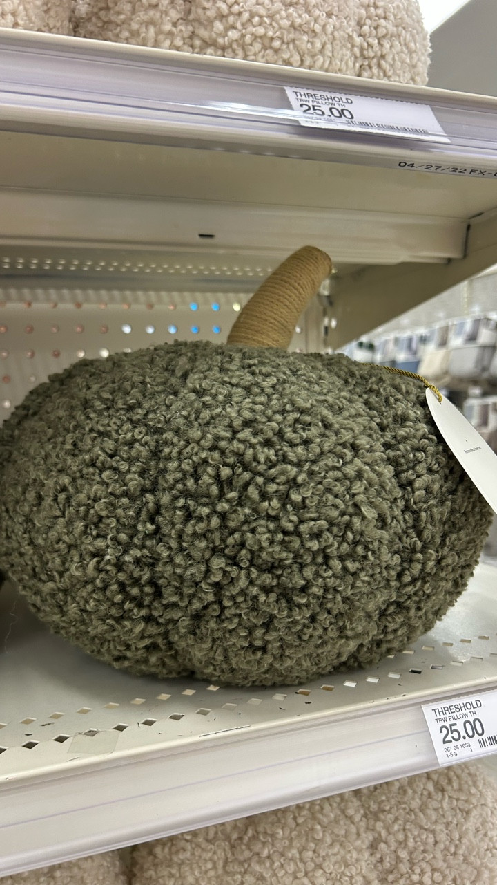 Pillow Pumpkins… or pumpkin pillows? Either way, Target is the place to find them. They’re available at all different price points: $30 at the top end down to $1 in the dollar spot bin.

I’ve linked the exact pumpkins in this post (for those in the dollar bin, you may need to shop in-store). I’ve also linked similar items found at Walmart and Michael’s.

#pumpkinpillows #plushpumpkins #pumpkindecor #targetfinds #targetfindshome #falldecor #noveltypillows #accentpillows #throwpillows

#LTKHome #LTKSeasonal