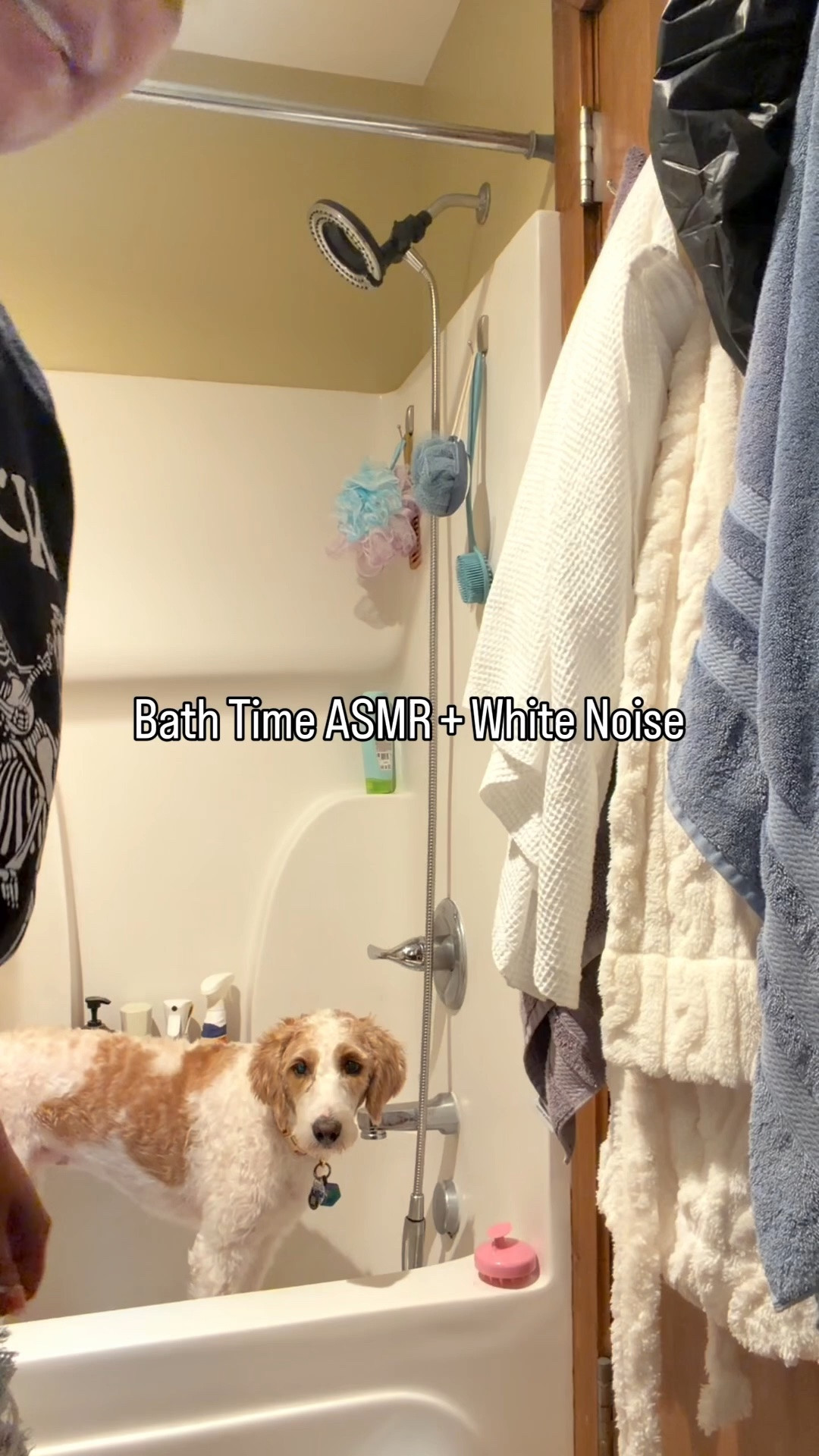 Bathe Violet with me! #asmr #bathtime #bathtimefavorites

#LTKdayinmylife #LTKselfcare #LTKmorningroutine