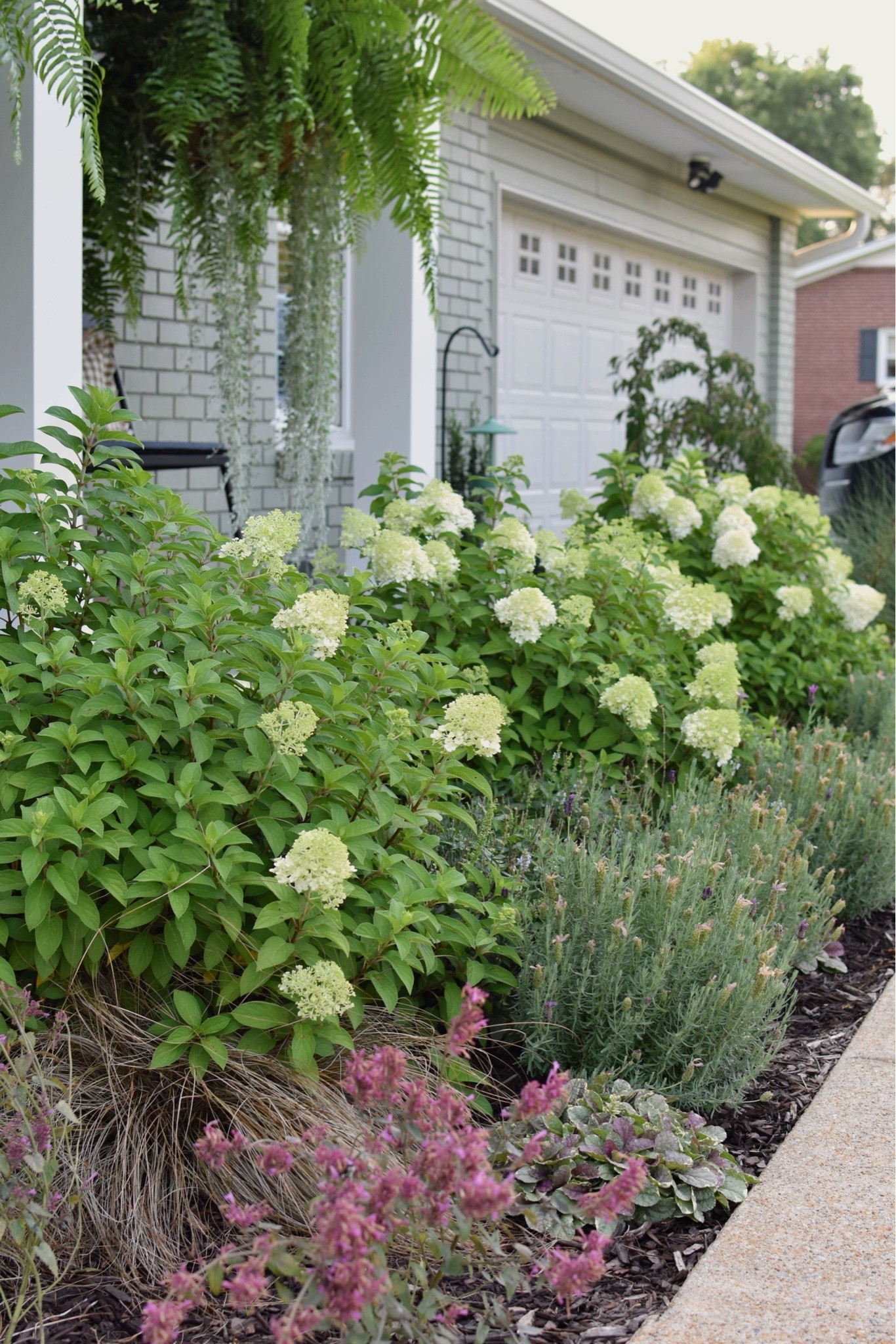 My favorite fertilizers for ferns, beds, & beyond! 🌿

#LTKdayinmylife #LTKHome #LTKSeasonal