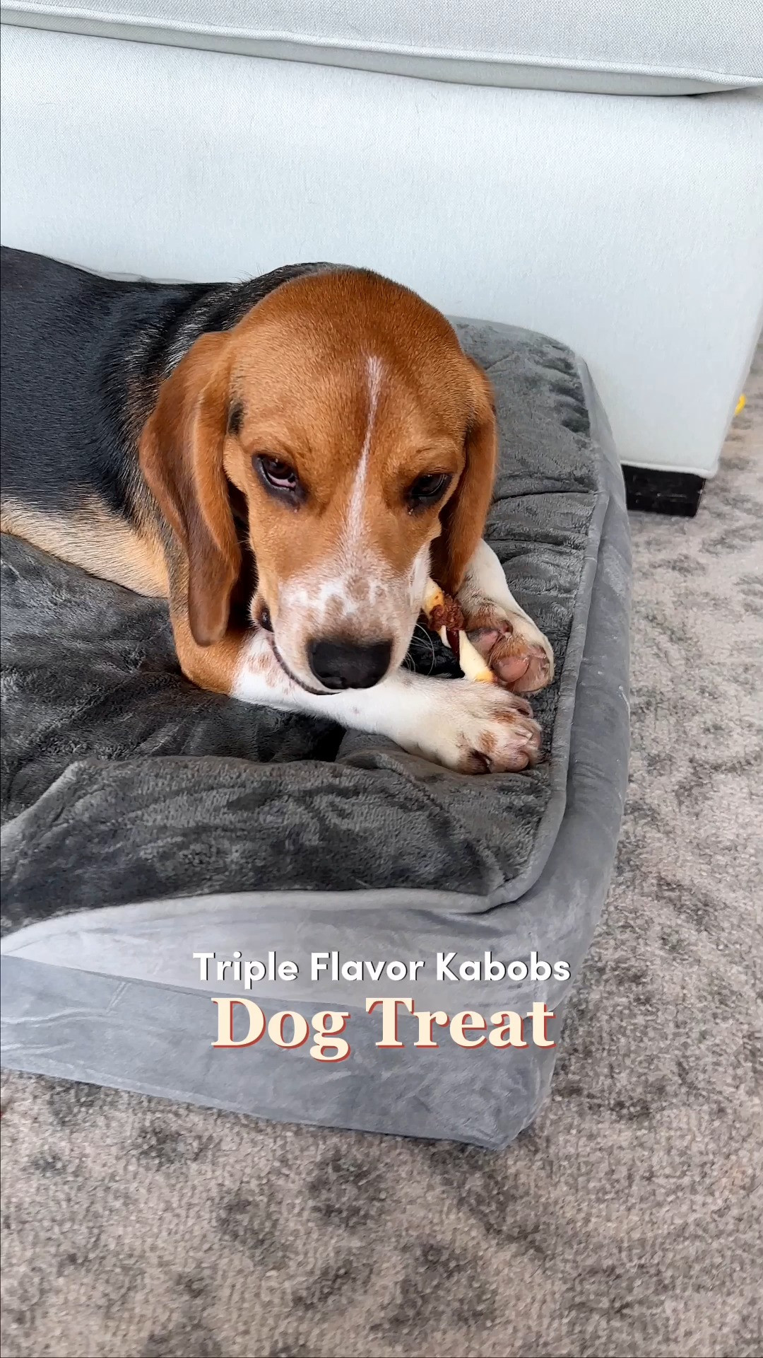 Treat time just got more exciting 🐾🦴 Good ‘n’ Fun Triple Flavored treats bring different flavors together in one chew for a snack that keeps dogs interested and happy 🐶 Great for training moments or just because your dog deserves a little extra love. #LTKPets #LTKFinds #DogTreats #DogTreatTime #PetFavorites #PetMustHaves #DogSnacks #DogLife #PupApproved #TreatYourDog #DogLovers #PetFinds 

#LTKHome #LTKFindsUnder50