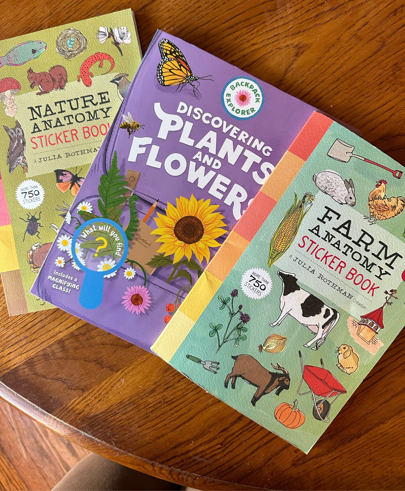 Cutest books for toddlers and homeschool 

#LTKBaby #LTKFamily #LTKKids