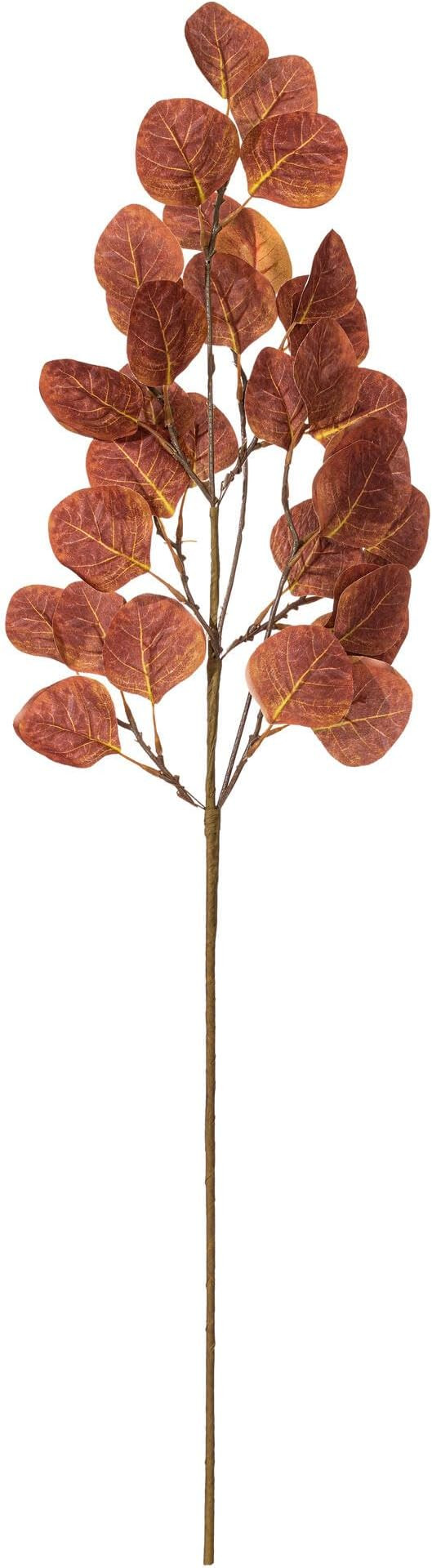 Vickerman 32" Dark Brown Artificial Silver Dollar Eucalyptus Leaf Spray, 3 per Bag. | Amazon (US)