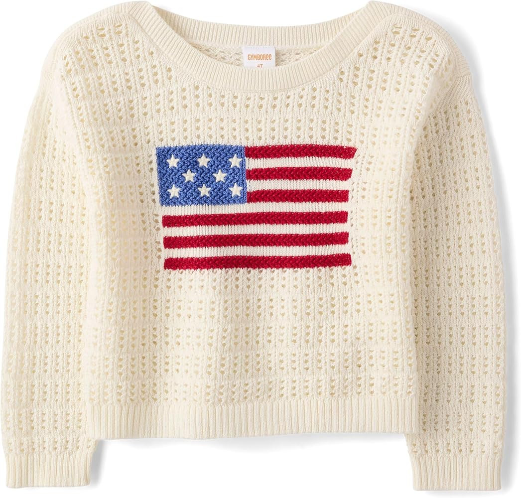 Gymboree Girls and Toddler Long Sleeve Embroidered Crew Neck Pullover Sweater | Amazon (US)