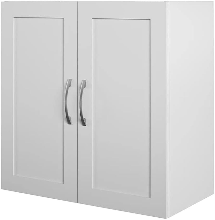 Systembuild Evolution Lory Framed 24" Wall Cabinet in Dove Gray | Amazon (US)