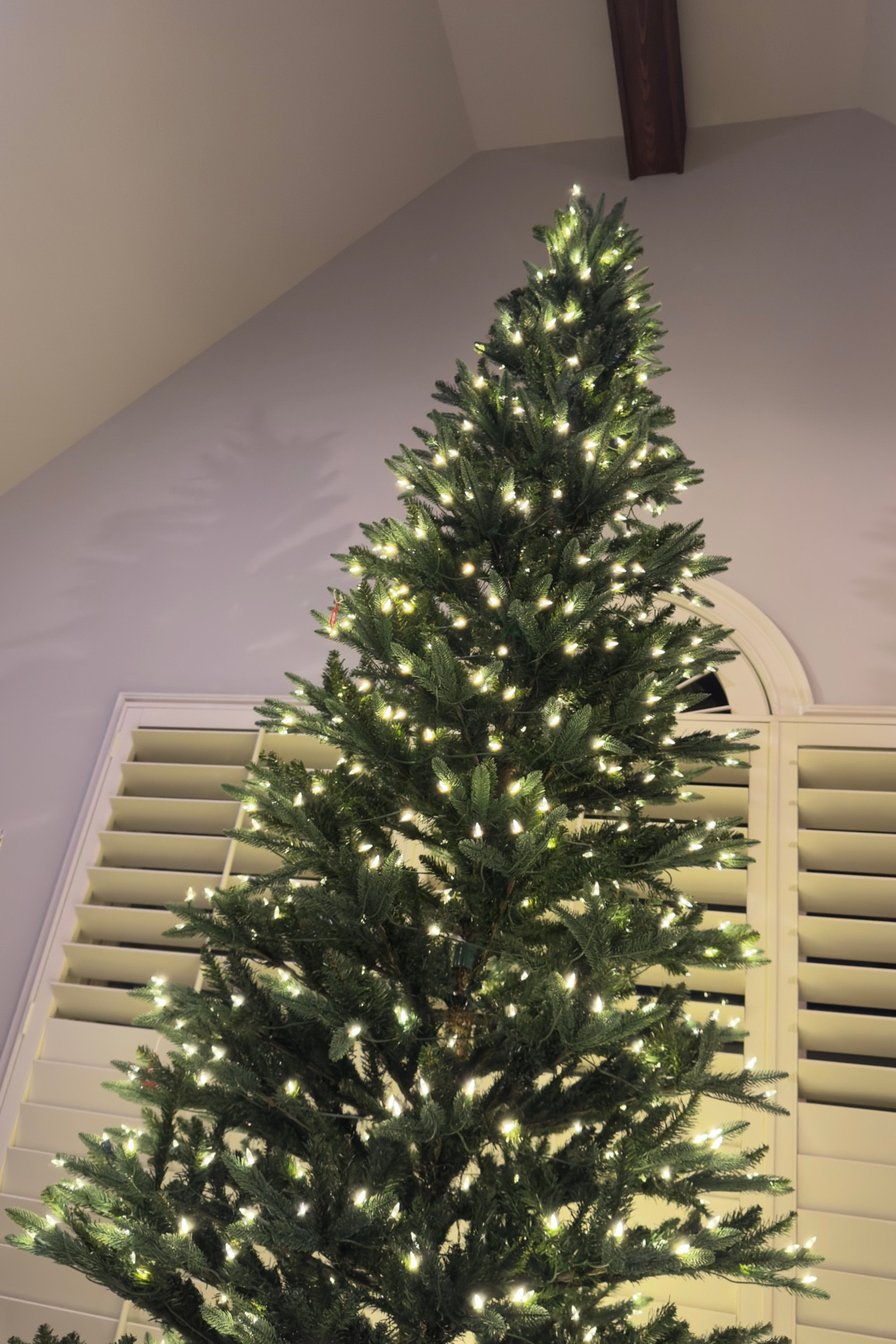 Wow! You won’t believe the price! This tree is a beast and she’s gorgeous! 12 feet tall and so incredibly easy to assemble! 



#LTKHoliday #LTKSeasonal #LTKHome