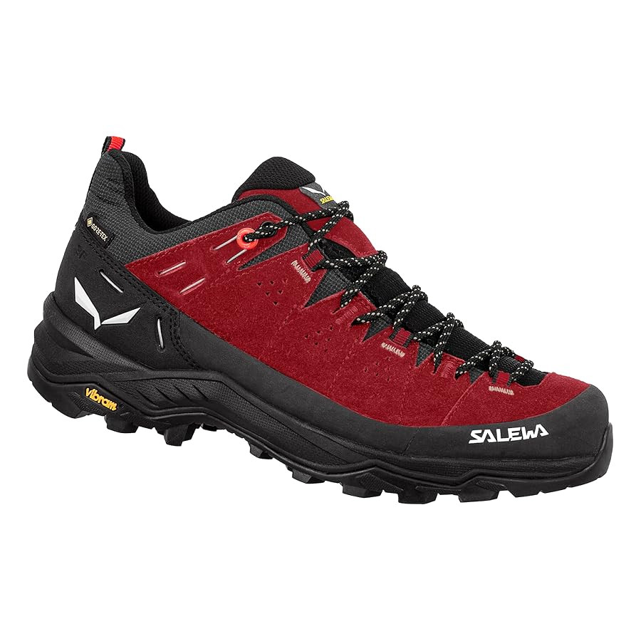 Salewa Women's Alp Trainer 2 Gore-Tex Waterproof GTX Hiking Shoe | Amazon (US)