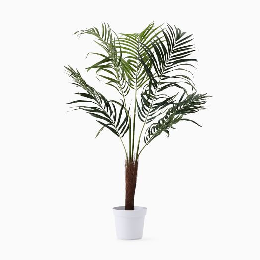 Faux Potted Fan Palm Tree | West Elm (US)
