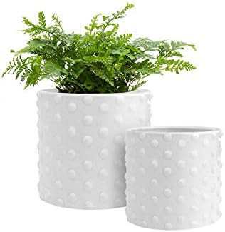 GrowLED Ceramic Pots for Plants with Drainage, Vintage Hobnail Patterned, 6 Inch & 5 Inch Plant P... | Amazon (US)
