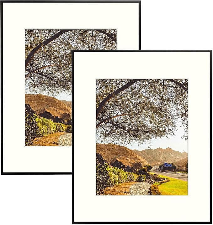 Golden State Art, 16x20 Aluminum Photo Frame with Ivory Mat for 11x14 Pictures, Includes with Saw... | Amazon (US)