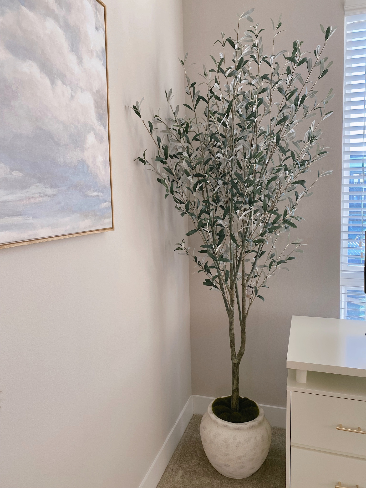 Faux Olive tree on sale at Target!

#LTKsalealert #LTKhome #LTKstyletip