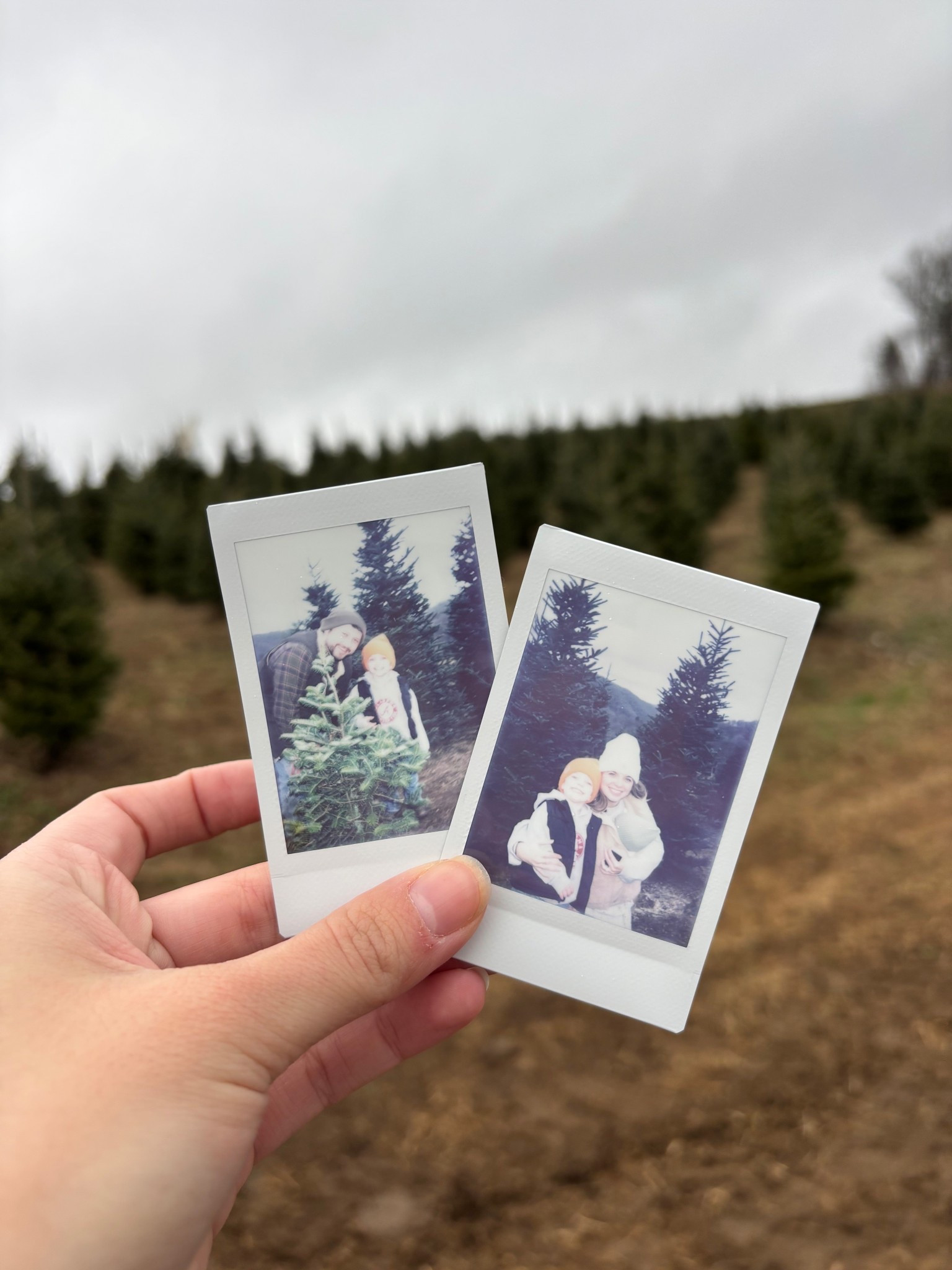 Snagged our tree! My favorite tradition with my favorite people! Linking some cyber Monday sale pieces I was wearingg

#LTKHoliday #LTKGiftGuide #LTKCyberWeek