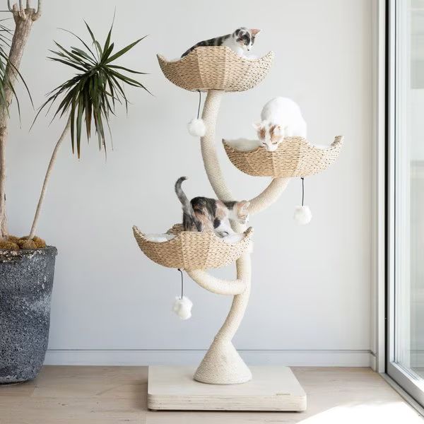 Mau Lifestyle Ivy 3, 53-in Modern Cat Tree, Natural | Chewy.com