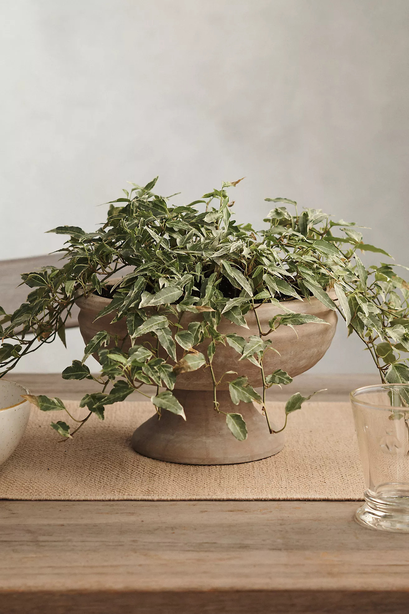 Footed Wide Ceramic Urn | Anthropologie (US)