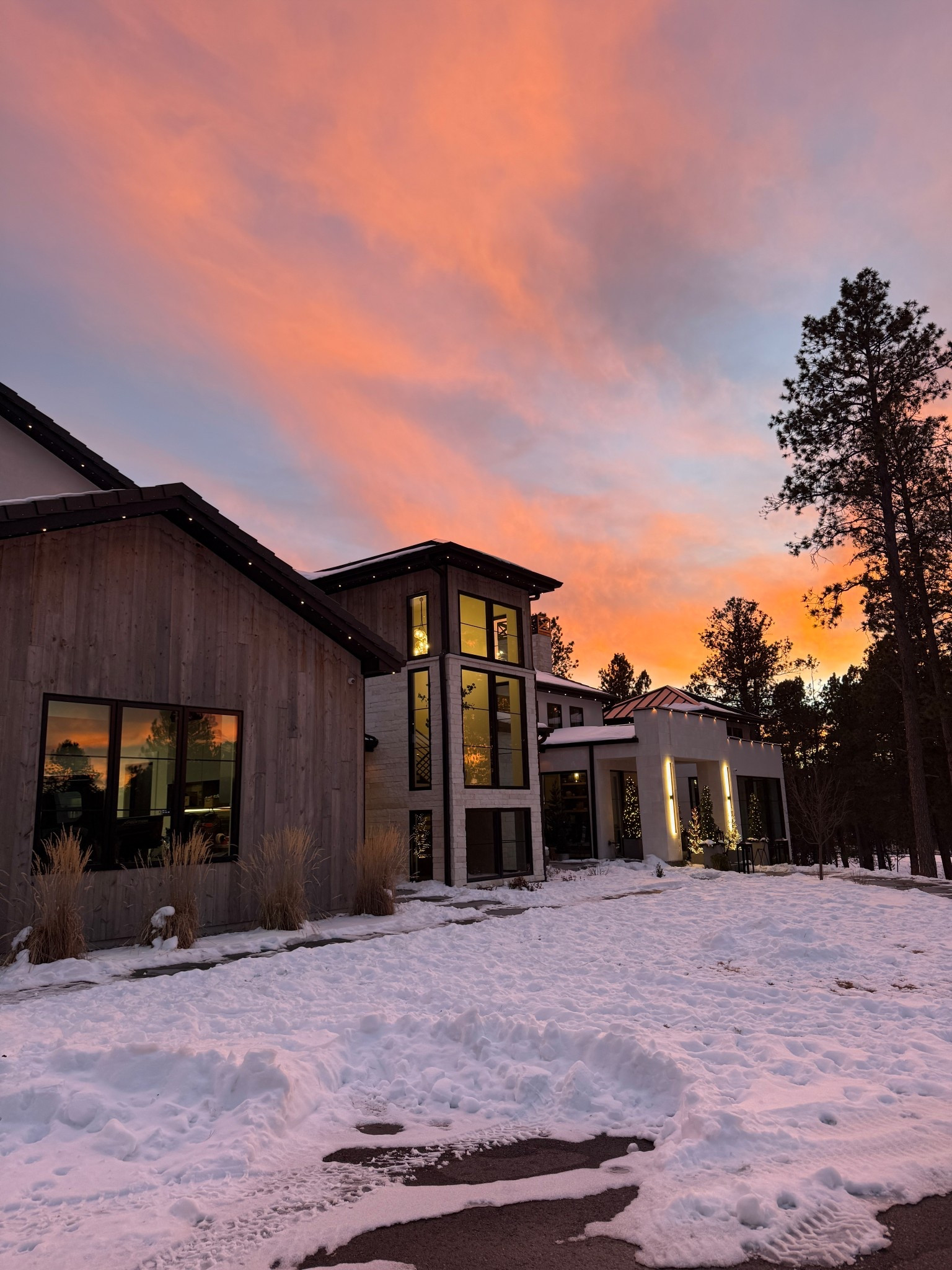 Winter porch decor linked below! The skinny pine trees are everything. I love decorating the porch this time of year.

#LTKSeasonal #LTKHome #LTKdayinmylife