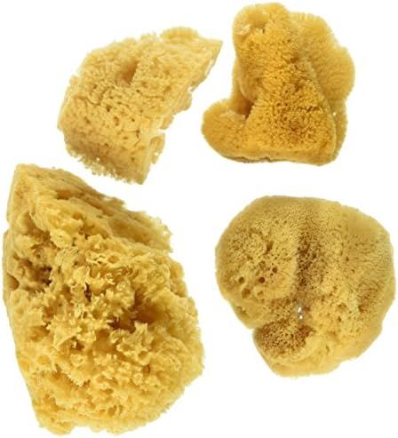 Natural Ocean Artist Sponges, 3 Silk/1 Jumbo, 4/pkg | Amazon (US)