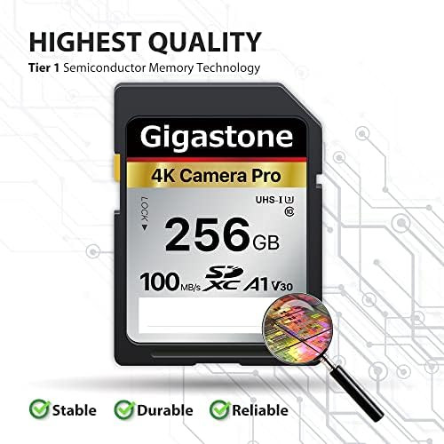 Gigastone 256GB SD Card V30 SDXC Memory Card High Speed 4K Ultra HD UHD Video Compatible with Canon  | Amazon (US)