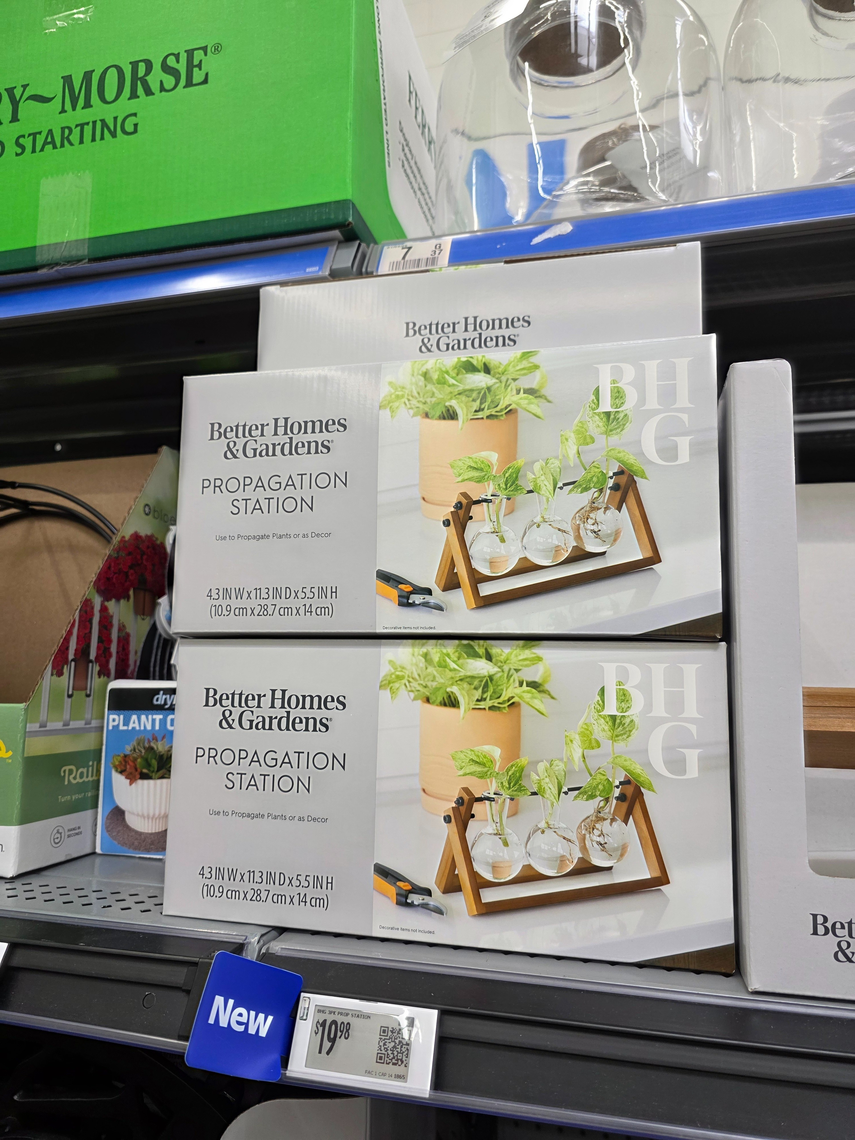Propagation station that doubles as decor 🌿 This glass and wood set is perfect for styling cuttings while adding a clean, natural touch to shelves, desks, or windowsills. The simple frame and clear vases make it easy to watch roots grow while keeping your space looking styled and intentional. #plants #walmartfinds 

 #LTKHome