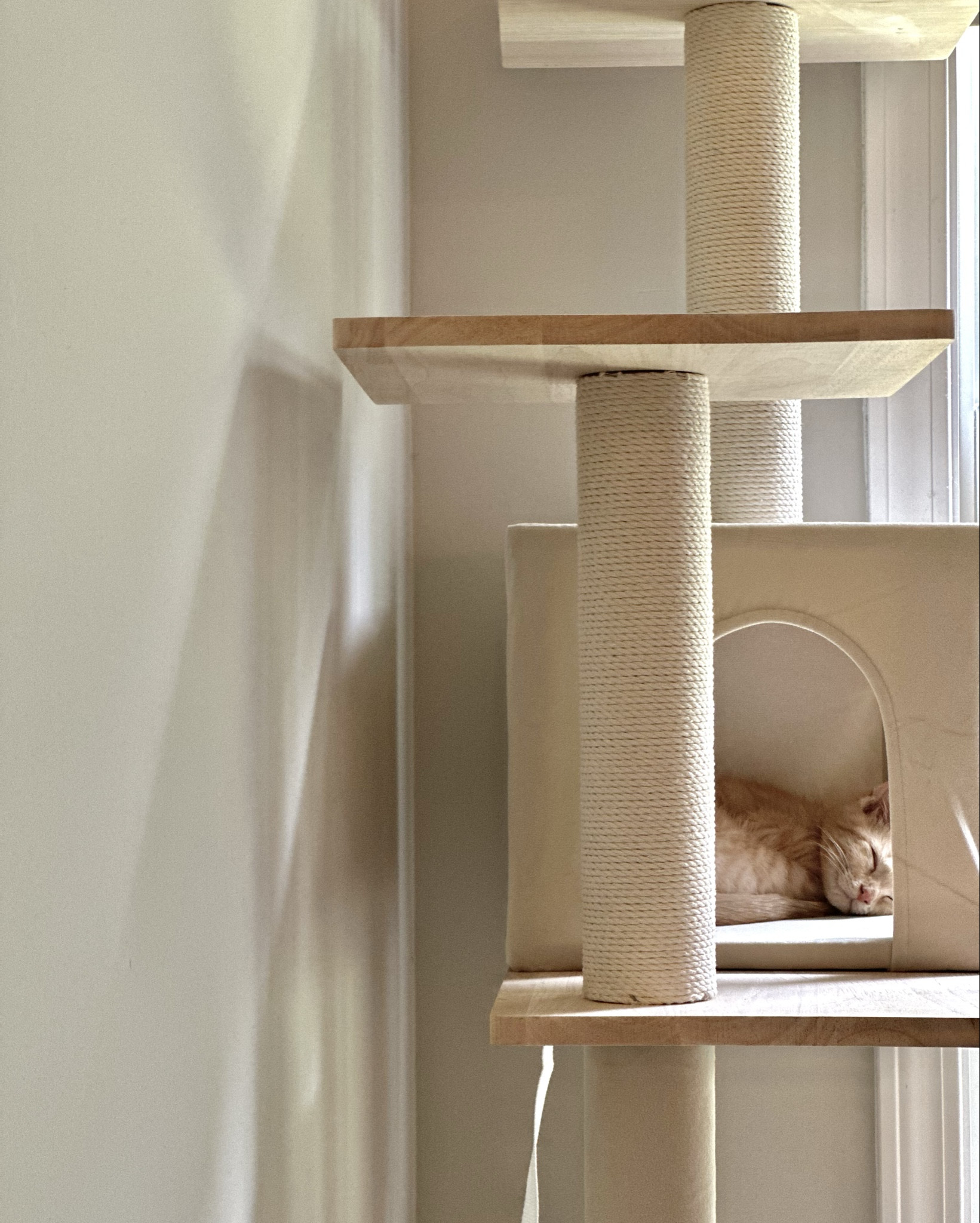 Mid century modern neutral cat tree🐱

#LTKHome