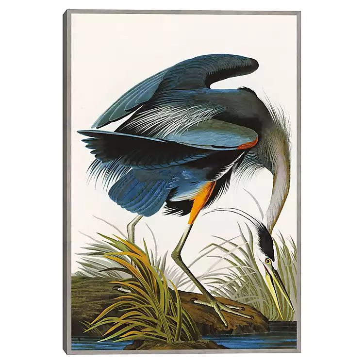 New! Louisiana Heron Framed Canvas Art Print | Kirkland's Home